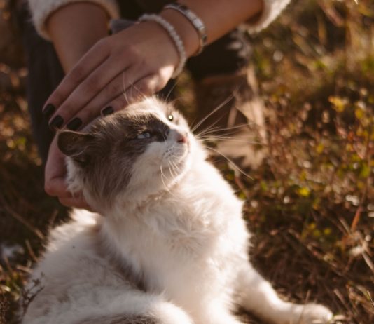 Ce inseamna cu adevarat sa ai „acte de bunatate” ca limbaj de dragoste