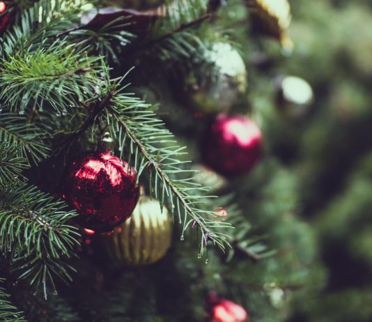 Asa au sarbatorit celebritatile Craciunul in 2021