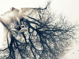 Diferenta dintre persoanele extrem de sensibile si cele hipersensibile