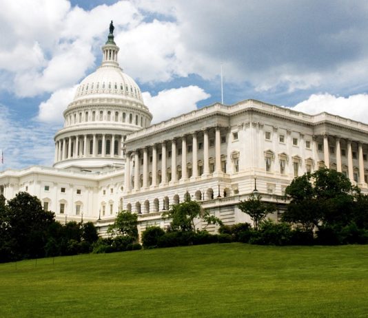 Tot ce trebuie sa stiti despre comitetele nationale democrate si republicane